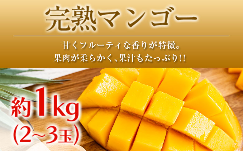 ◆「南国宮崎発」　いちご・完熟マンゴー・スイートコーン　3回定期便