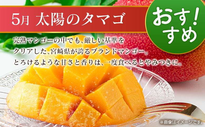 【奇数月 6回定期便】旬 人気 フルーツ 南国宮崎産 太陽のタマゴ ピオーネ いちご みかん メロン マンゴー 柑橘 ぶどう 果物 詰め合わせ 宮崎県 九州＜A-1コース M110＞