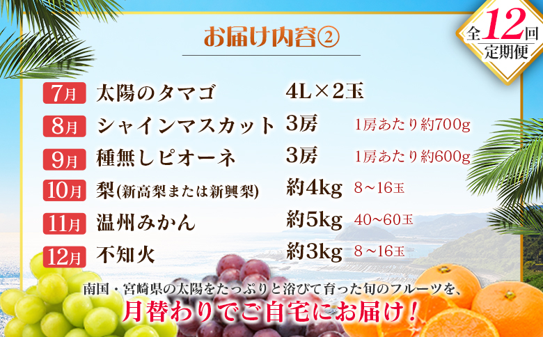 【12回定期便】旬 人気 フルーツ 南国宮崎産 マンゴー ライチ 金柑たまたまエクセレント シャインマスカット ピオーネ いちご みかん 梨 柑橘 太陽のタマゴ きんかん たまたま ぶどう 果物 詰め合わせ 宮崎県 九州 1年 毎月お届け＜Dコース M400＞