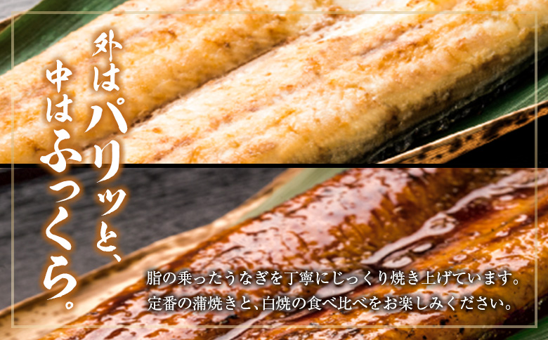 ＜定期便＞2尾×全6回 国産 うなぎ 白焼 蒲焼 セット 合計2.1kg以上（1回あたり 合計362g以上） 肝焼き・たれ付き 有頭 宮崎県産 鰻 中村商店