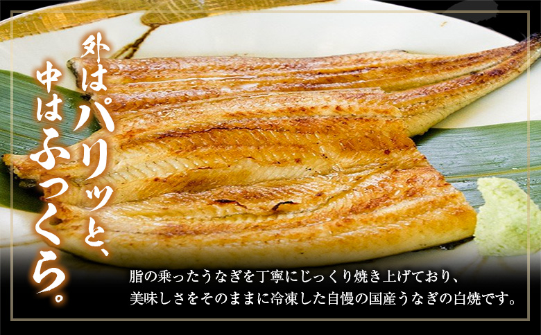 ＜6回定期便＞国産 うなぎ 白焼 有頭 1尾（181～215g）×6か月 計1kg以上 たれ付き 宮崎県産 鰻 中村商店