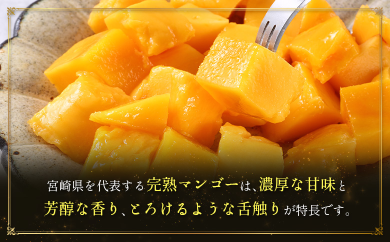 ＜2026年発送＞ フルーツ 定期便 完熟マンゴー ピオーネ ぶどう 先行予約 初夏 秋 旬 果物 全2回