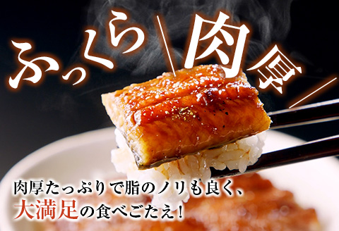 宮崎県産 うなぎ 蒲焼 切身 20パック 計1kg 個包装 国産 鰻 20枚 切身20パック（計1kg）