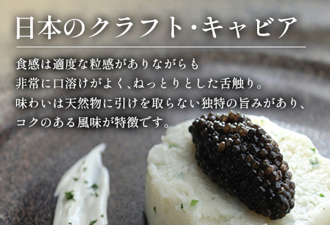 宮崎キャビア1983 バエリ クラシック (20g)