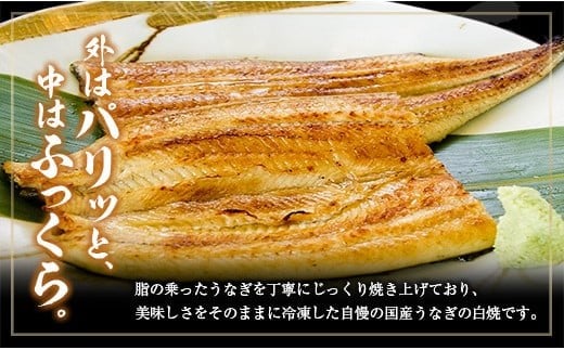 ◆中村商店 うなぎ白焼5尾セット 計905g以上 うなぎ白焼 5尾