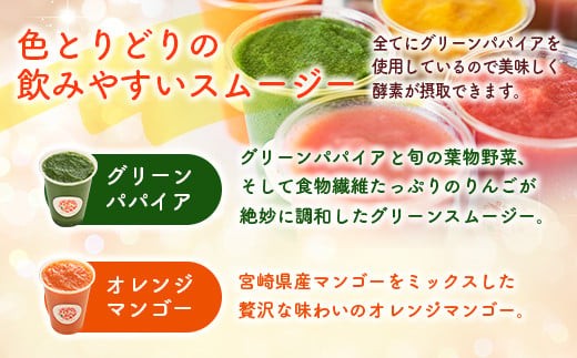 南国酵素スムージー グリーンパパイア 200ml×12本 全6種 宮崎県産