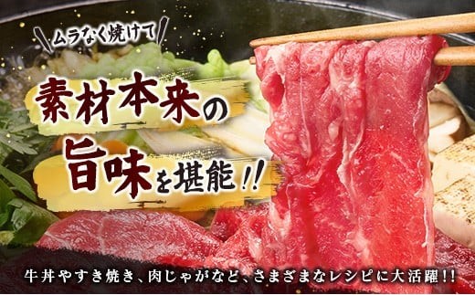 宮崎牛 切り落とし 800g すき焼き 焼き肉 炒め物 国産 牛肉 宮崎県産 4等級以上