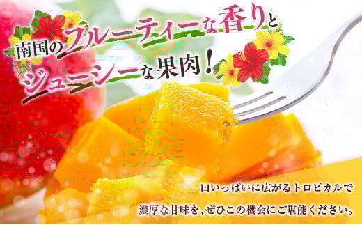 ◇「宮崎満喫」　完熟マンゴー約400g×2玉　3回定期便