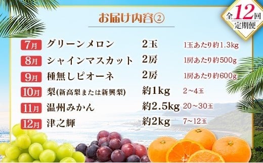 【12回定期便】旬 人気 フルーツ 南国宮崎産 マンゴー ライチ 金柑たまたま シャインマスカット ピオーネ いちご みかん 日向夏 メロン 梨 柑橘 きんかん ぶどう 果物 詰め合わせ 宮崎県 九州 1年 毎月お届け＜Bコース M200＞