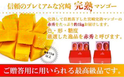 宮崎県産完熟マンゴー[赤秀] 合計約1kg（2～3玉）