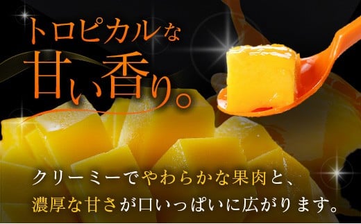 ≪先行予約≫ 宮崎県産 完熟マンゴー「太陽のタマゴ」約3kg 計6～9玉 2026年発送 ブランド 南国 トロピカル フルーツ 果物 くだもの 化粧箱入り 約3kg（2～3玉×3箱）