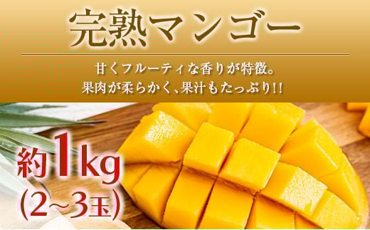 ◆「南国宮崎発」　いちご・完熟マンゴー・スイートコーン　3回定期便