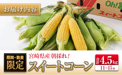 ◆朝採れスイートコーン (合計約4.5kg) 宮崎県産