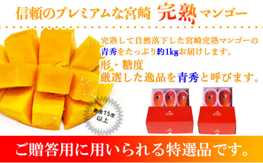 宮崎県産完熟マンゴー[青秀] 合計約1kg（2～3玉）