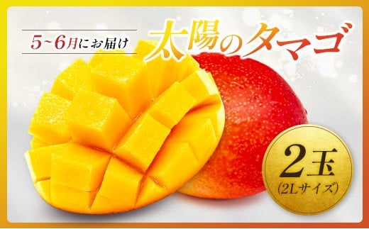 ＜2026年発送＞ フルーツ 定期便 太陽のタマゴ ピオーネ 完熟 マンゴー ぶどう 先行予約 初夏 秋 旬 果物 全2回