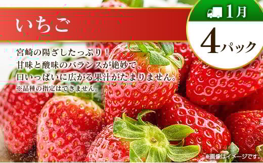 【奇数月 6回定期便】旬 人気 フルーツ 南国宮崎産 太陽のタマゴ ピオーネ いちご みかん メロン マンゴー 柑橘 ぶどう 果物 詰め合わせ 宮崎県 九州＜A-1コース M110＞