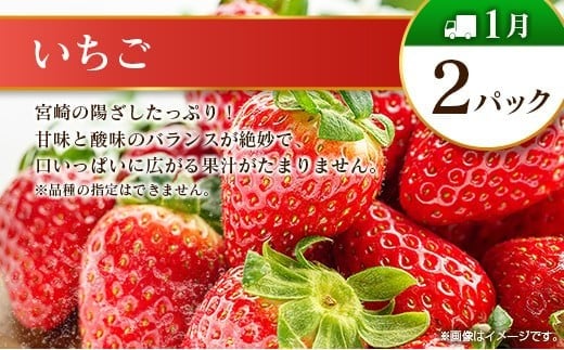 【奇数月 6回定期便】旬 人気 フルーツ 南国宮崎産 マンゴー ピオーネ いちご みかん メロン 柑橘 ぶどう 果物 詰め合わせ 宮崎県 九州＜B-1コース M210＞