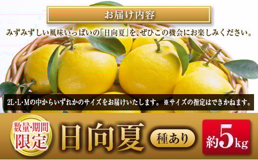 ◇宮崎県産 露地日向夏 約5kg（満杯詰め）