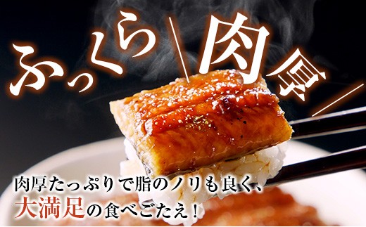 宮崎県産 うなぎ 蒲焼 切身 20パック 計1kg 個包装 国産 鰻 20枚 切身20パック（計1kg）