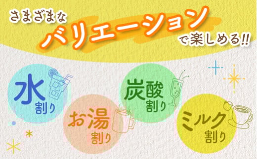 クラフト酵素シロップ グリーンパパイア 250ml×3個 宮崎県産