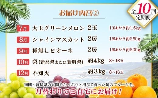 【10回定期便】旬 人気 フルーツ 南国宮崎産 太陽のタマゴ 金柑たまたまエクセレント シャインマスカット ピオーネ いちご みかん 梨 メロン 柑橘 マンゴー きんかん たまたま ぶどう 果物 詰め合わせ 宮崎県 九州＜E-1コース M500＞
