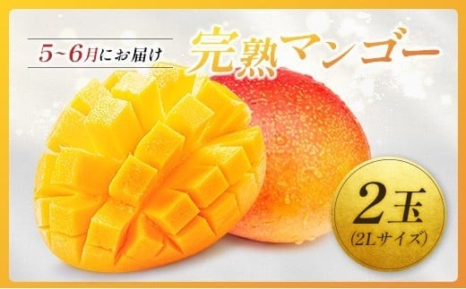＜2026年発送＞ フルーツ 定期便 完熟マンゴー シャインマスカット ぶどう 先行予約 初夏 秋 旬 果物 全2回