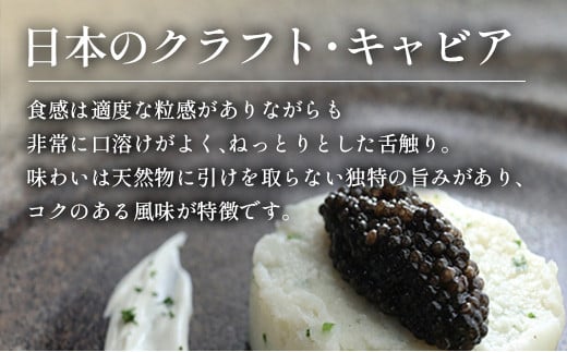 宮崎キャビア1983 バエリ クラシック (20g)