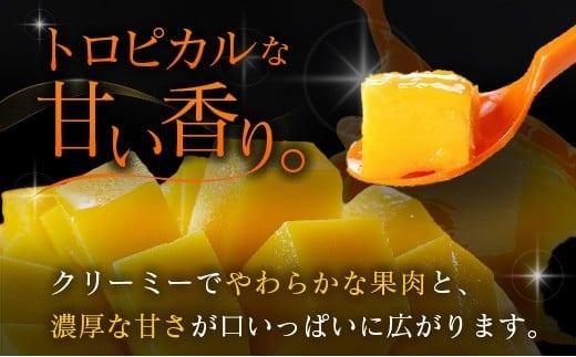 ≪先行予約≫ 宮崎県産 完熟マンゴー「太陽のタマゴ」約1kg 計2～3玉 2026年発送 ブランド 南国 トロピカル フルーツ 果物 くだもの 化粧箱入り 約1kg（2～3玉×1箱）