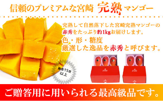宮崎県産完熟マンゴー[赤秀] 合計約1kg（2～3玉）