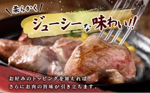 宮崎牛 サイコロステーキ 600g 黒毛和牛 国産 宮崎県産 牛肉 4等級以上