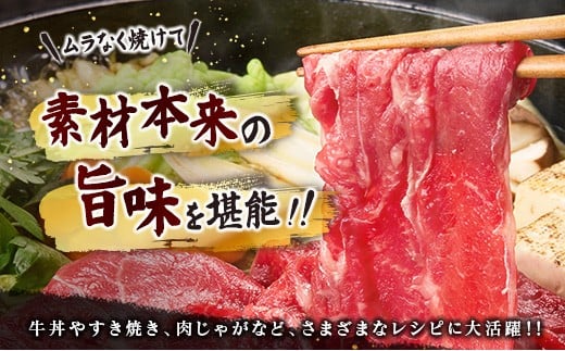 宮崎牛 切り落とし 800g すき焼き 焼き肉 炒め物 国産 牛肉 宮崎県産 4等級以上