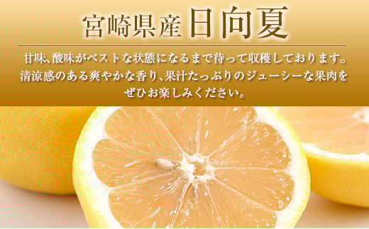 ◆みやざきブランドセット（完熟きんかん たまたま・日向夏）合計約3.5kg 宮崎県産