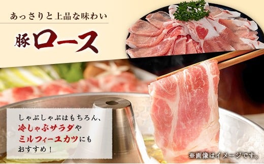 産地直送 宮崎県産 ホエー豚 しゃぶしゃぶ 食べ比べ セット 合計900g（300g×3パック）国産 豚肉 スライス 合計900g（300g×3パック）