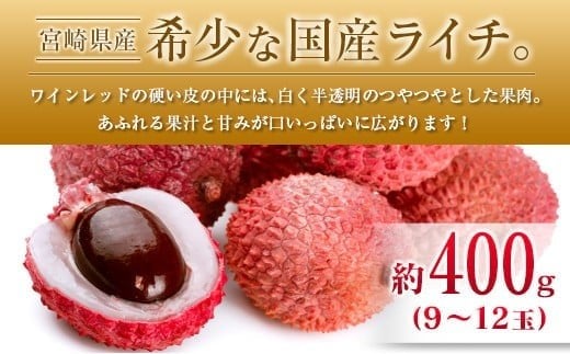 ◆宮崎県産 マンゴー＆ライチセット（合計約1.4kg）