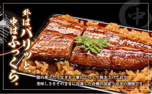 ◆中村商店 うなぎ蒲焼2尾セット 計362g以上 肝焼き付 うなぎ蒲焼 2尾