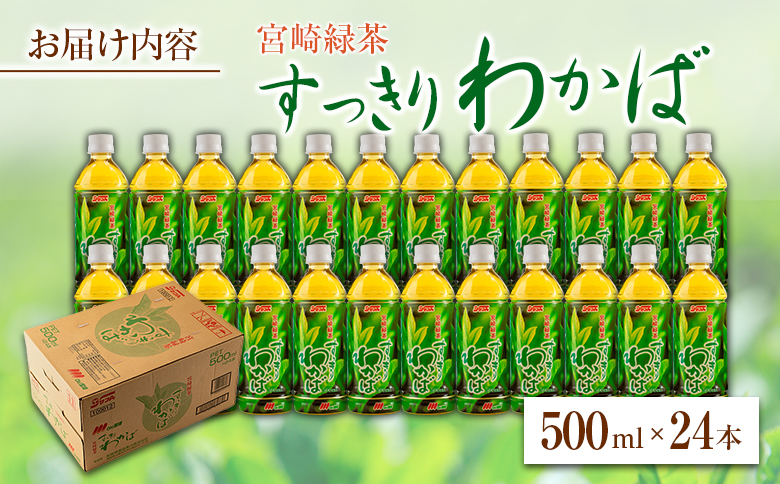 宮崎緑茶 すっきりわかば 500ml×24本 ペットボトル サンA