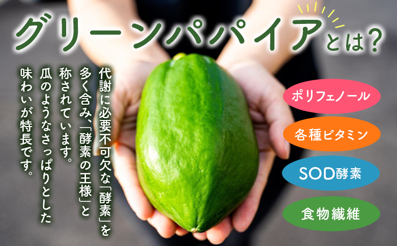 クラフト酵素シロップ グリーンパパイア 250ml×2個 宮崎県産