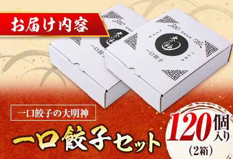 ◇「一口餃子の大明神」一口餃子セット 2箱（120個入り）