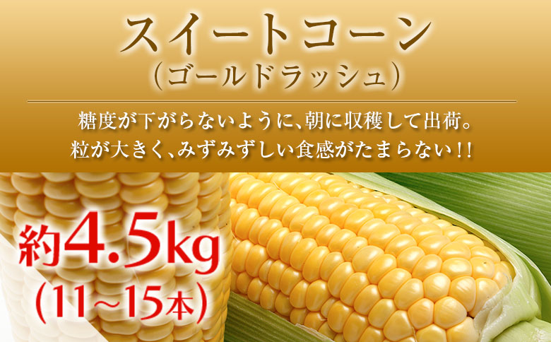 ◆「南国宮崎発」　いちご・完熟マンゴー・スイートコーン　3回定期便