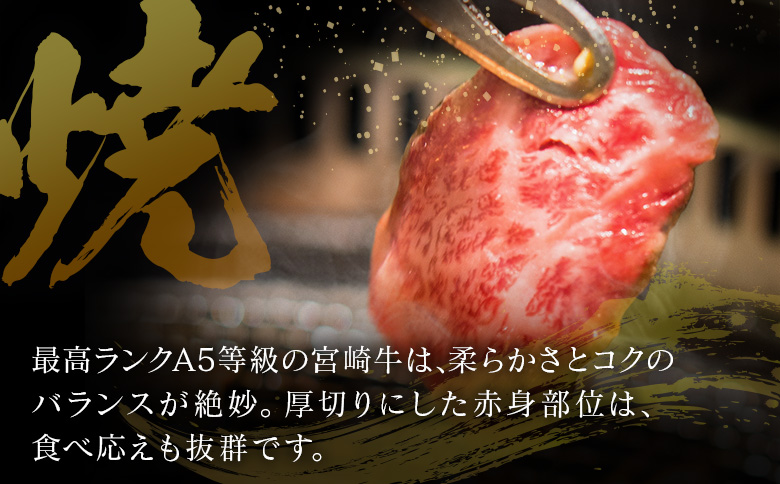 宮崎県産 倉薗牧場 A5等級 宮崎牛 赤身づくし 厚切り 焼肉用 2パック