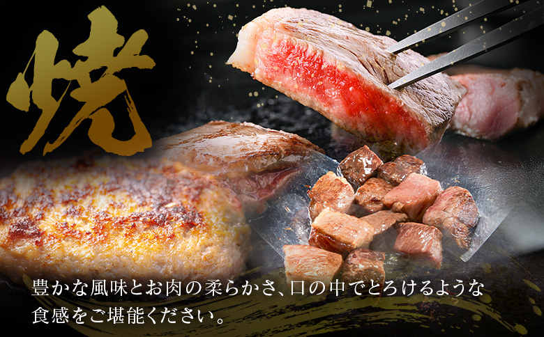 【定期便】宮崎県 倉薗牧場 ヒレステーキなど色々楽しめる満足定期便コース 計6回