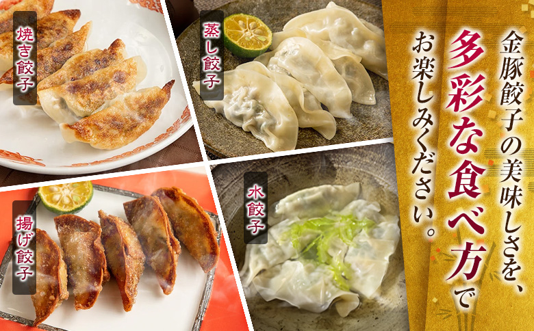 ◇金豚 餃子 3種 セット 計6パック