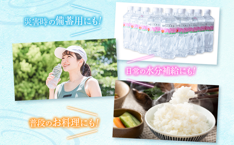 天然シリカ水 細野の天然水 555ml 48本 中硬水 ミネラルウォーター シリカ ケイ素 霧島連山の贈り物 常温保存 備蓄 防災 宮崎県 【単発】555ml×48本（24本×2箱）