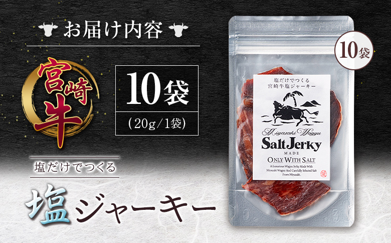 塩だけでつくる 宮崎牛 塩ジャーキー 10袋（20g×10袋）ブランド牛 ビーフジャーキー おつまみ 珍味 グルメ 干し肉 宮崎県産