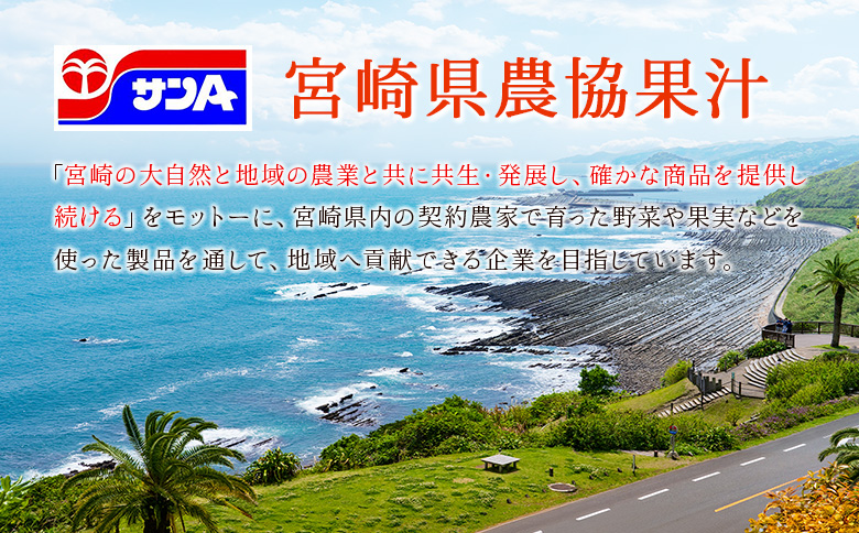 【定期便 12か月】 霧島山麓の天然水 590ml×24本入 12回 サンＡ ミネラルウォーター 飲料水 常温保存 宮崎 12か月定期便
