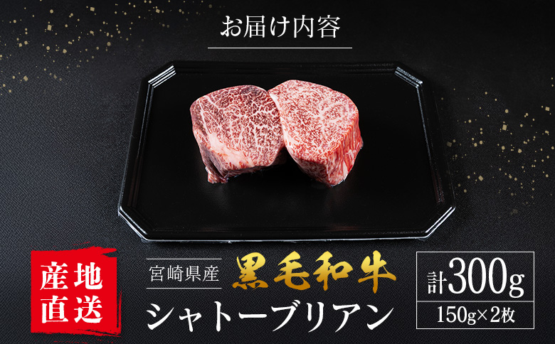 【産地直送】宮崎県産 黒毛和牛 シャトーブリアン ステーキ 2枚