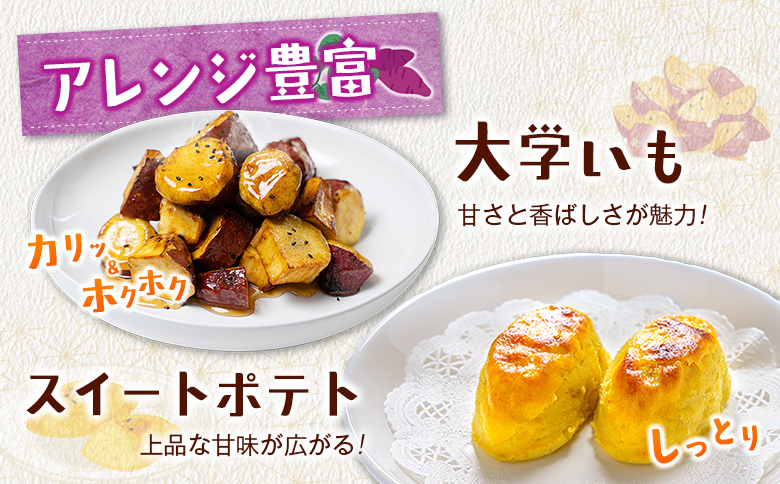 ＜定期便＞3回お届け！長期熟成 紅はるか 計9kg（3kg×3回）宮崎県都城市産 さつまいも サツマイモ 計9kg＜毎月3kg×3回定期便＞