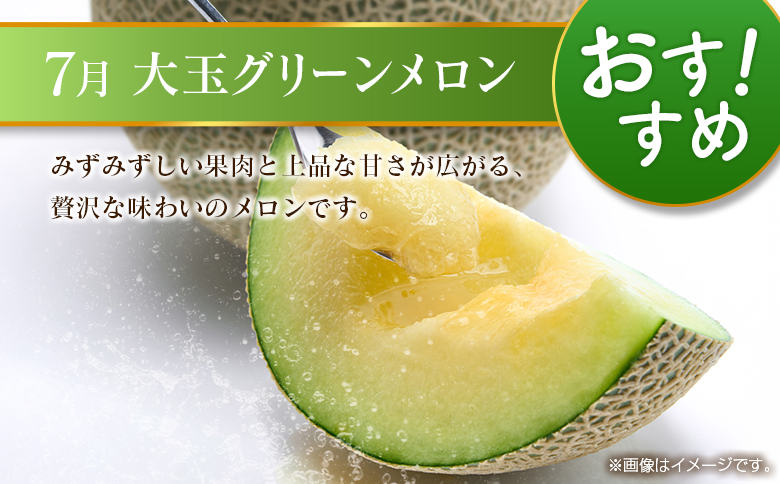 【奇数月 6回定期便】旬 人気 フルーツ 南国宮崎産 太陽のタマゴ ピオーネ いちご みかん メロン マンゴー 柑橘 ぶどう 果物 詰め合わせ 宮崎県 九州＜A-1コース M110＞