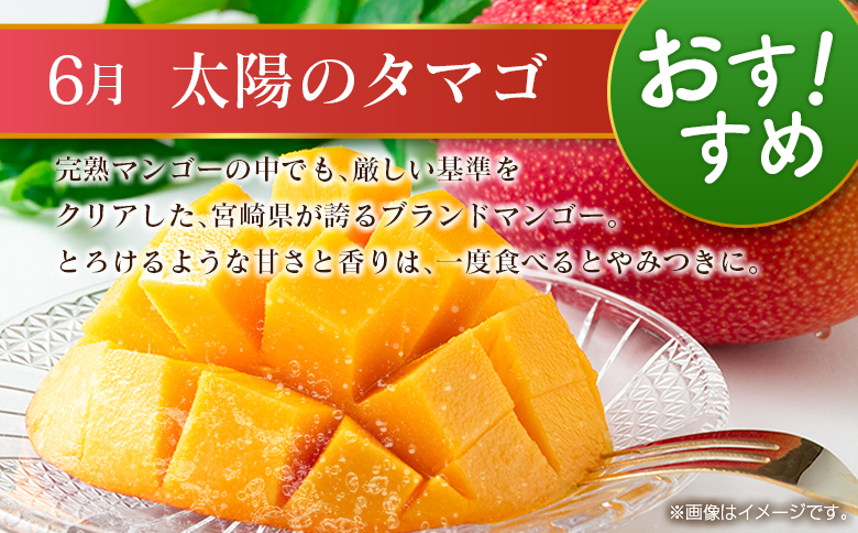 【偶数月 6回定期便】旬 人気 フルーツ 南国宮崎産 太陽のタマゴ きんかん シャインマスカット 日向夏 梨 みかん 柑橘 マンゴー ぶどう 果物 詰め合わせ＜A-2コース M120＞