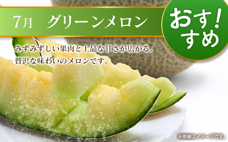 【奇数月 6回定期便】旬 人気 フルーツ 南国宮崎産 マンゴー ピオーネ いちご みかん メロン 柑橘 ぶどう 果物 詰め合わせ 宮崎県 九州＜B-1コース M210＞